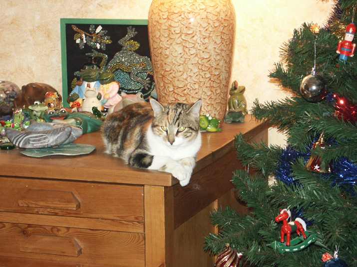 2006-01 001.jpg - DCF 1.0